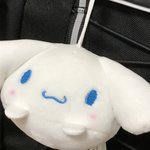 개귀<b>엽지</b>ㅠㅠㅠ