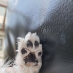 [댓글부탁해] 얘들아 나 낼 <b>손</b><b>모델</b>데뷔함ㅜㅠㅠ