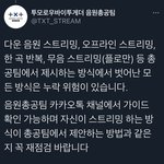 [TXT] 제발 스밍은 꼭 음<b>총팀</b> 가이드대로 해줘
