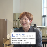 [세븐틴] 고잉셉 <b>중독자</b> 타팬인데