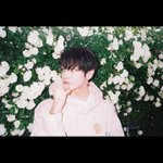 [NCT즌] 얼굴 <b>극락</b>이네