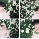 [NCT즌] ㅇㄴ 너무 <b>청초</b>해서