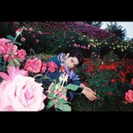 [NCT즌] 꽃<b>속</b>에 있는<b>게</b>