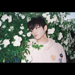 [NCT즌] 태용이는 <b>장미</b>가 참 잘어울림