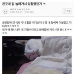 [19] 나 <b>하의</b>실종 패션으로 입엇는디