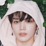 [NCT즌] 사진도 많이 올려줘서