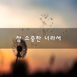 [꼭봐주세요] 참 <b>소중</b>한 너라서~