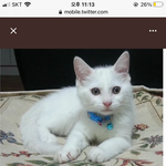 [댓글부탁해] 나 이 <b>성적</b>으로 서울대 가능해??