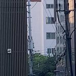 <b>세훈</b> 목격담