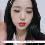 장원영 <b>위문</b>공연