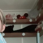 최애 샤넬 장미로 방꾸밈