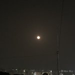 모고 개념이랑 기출 교과서 뭐가좋아?