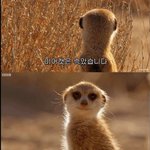 [더보이즈] 더비를ㄹ...<b>농락</b>...캐쎃...