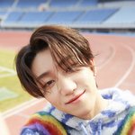[세븐틴] <b>서명</b>호 유죄