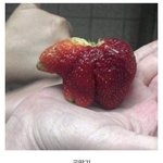[댓글부탁해] 언매vs<b>화작</b>