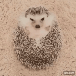 [댓글부탁해] <b>미드</b>소마 본 사람 있음??