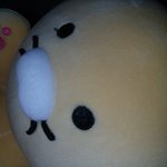 [드루와] 내 인형  보구가