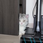 우리집 <b>막둥이</b> 자랑할께요