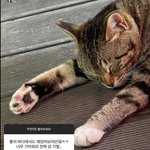 [NCT즌] 태용이 <b>갯벌</b>에서 발빼는 영상 주세요.