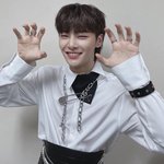 [스키즈] 아기<b>늑대</b>