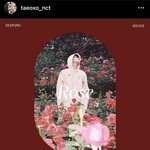 와 태용 <b>슬기</b> 싸클 나오나봐