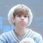 [스키즈] <b>명창강쥐</b>깜찍사진 모음