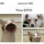 [댓글부탁해] 사문 최저용으로 수시끝나고 준비하면 늦음?