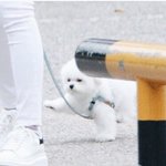 [NCT즌] 이툥 완전 이 <b>재질</b>