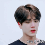 <b>야호</b>