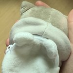 [NCT즌] 가방맨 꼼쥔이 뒷태 <b>짱귀</b>