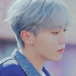 부승관 <b>간</b><b>잽</b>중이었는데