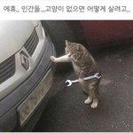 [19] 너네 혹시 <b>안경</b>끼던애가