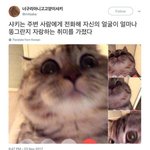 [추반] <b>일카</b>가 다른 사람들이 보는 나임??