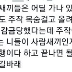 하여간 트위터 애들 <b>발전</b>이 없음ㅇㅇ