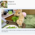 [댓글부탁해] 쌍수 해 말아?