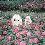[이태용] 태용이와 툥야