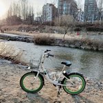 본진 일코짤 올리고 <b>담소</b> 나누자