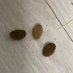 [이것좀봐줘] 토끼<b>사료</b>에서 개<b>사료</b> 나왔는데 소송당하게 생김;;