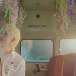 [세븐틴] 이 <b>버스</b> 왜 그거 같냐