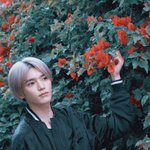 [이태용] 여기 은근 <b>활발</b>하고 추천수 있는거 너무 웃곀ㅋㅋㅋ