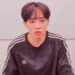 [드루와] 앞 트여있는데 <b>미간</b> 넓은애들있냐