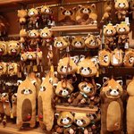 [더보이즈] <b>선우</b>의 고향