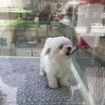 [더보이즈] 길<b>가다</b> 김영훈 본 썰 푼다