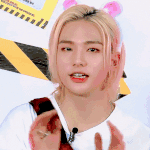 [스키즈] <b>만두</b> 써방에 지친 사람들