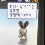 내 친구 개부러움