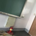 아침부터 개<b>똘</b><b>추</b>짓함 ㅅㅂ
