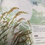 [진격의거인] 에루리ㅠㅠㅠㅠㅠ