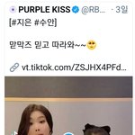 퍼플키스 <b>수안</b> 심각하긴하다