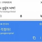 나보다 고양이 알레르기 심한사람못봄