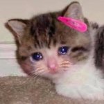 [댓글부탁해] 쿨톤립 바름 누래보이는데